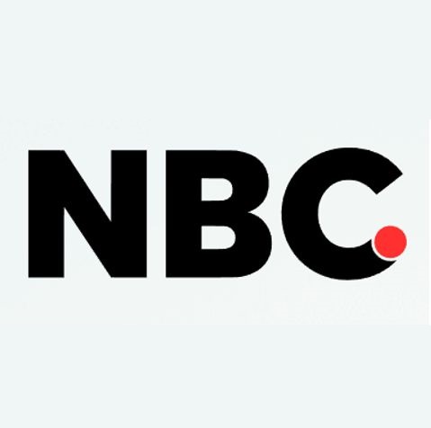 nikacolsulting logo